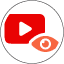 YouTube Video Data Viewer Icon