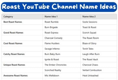 Roast YouTube Channel Name Ideas